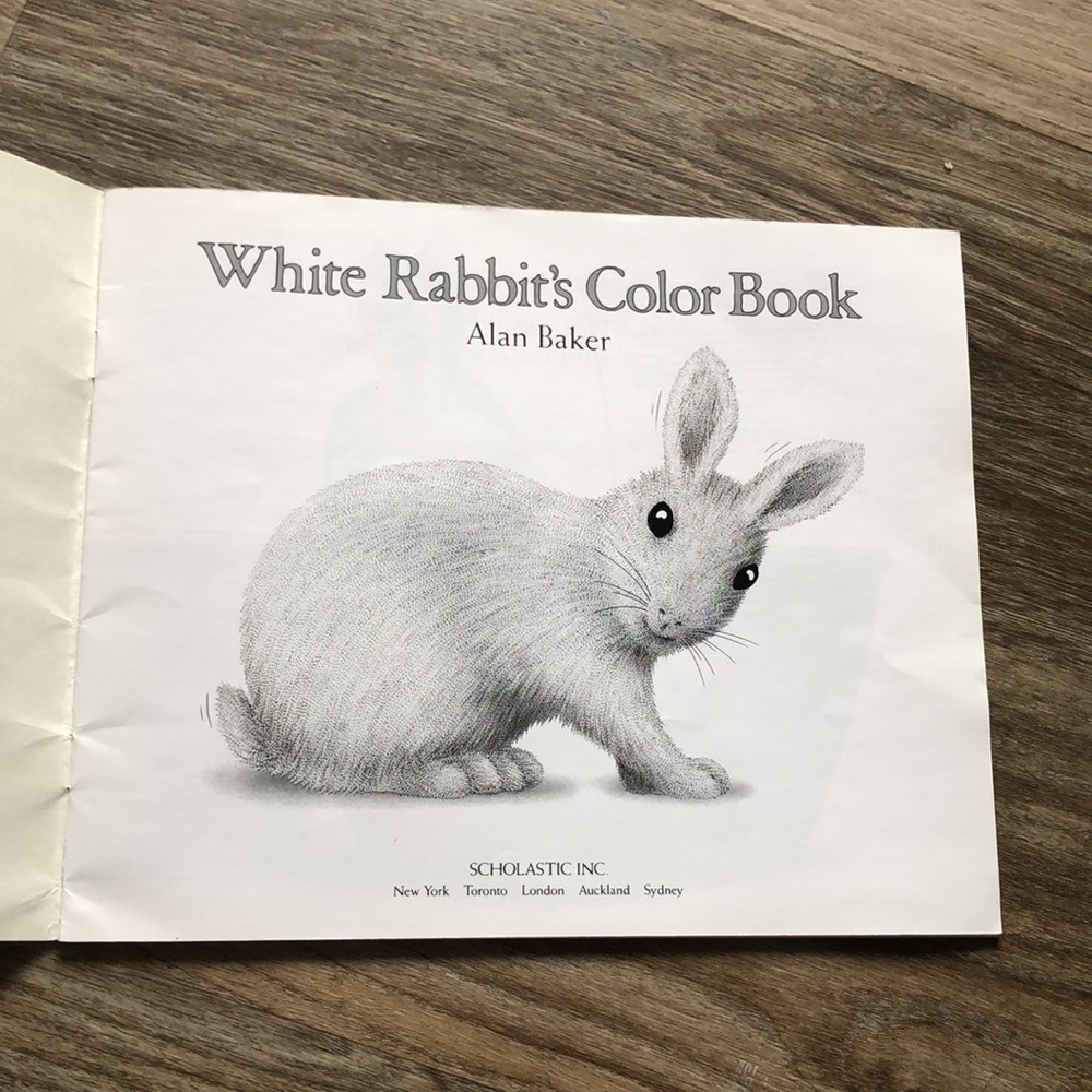 ❤️$3 White Rabbit's Color Book 1995 - Picture 4 of 16